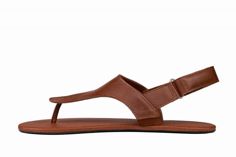 Ahinsa Simple Barefoot Sandalen Dames Bruin | ZFW3290KJ